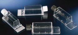 SlideFlask Nunc™ Lab-Tek™ | Working volume ml : 4,5